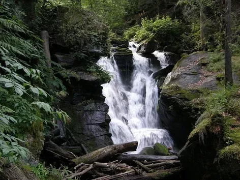 Hiking to the Voyevodyn Waterfall with Visit Ukraine: a journey to the heart of the Carpathians