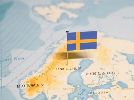 How many Ukrainians in Sweden plan to return to Ukraine: survey results