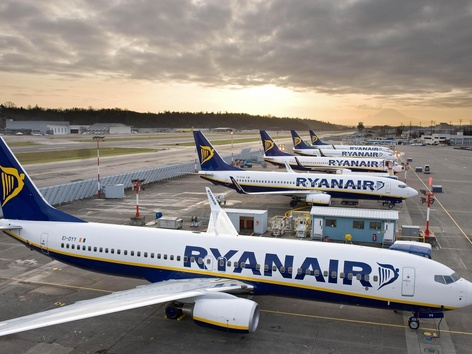 Ryanair организует ярмарку вакансий для украинцев в Дублине