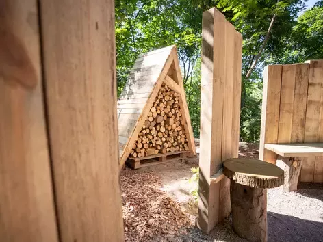 Ukraine's first Nordic Therapy Garden opened in Podil, Kyiv: what does it look like?