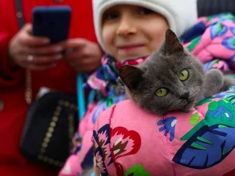 How many refugees want to return to Ukraine after 2 years of war: UN survey