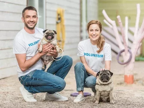 Volunteering in Ukraine: how to obtain a permit and documents for foreign volunteers