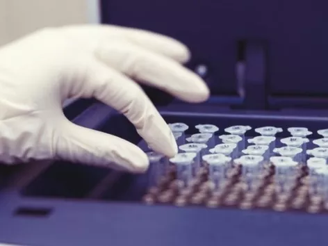 Disease X: what is it and why is it feared in the world?