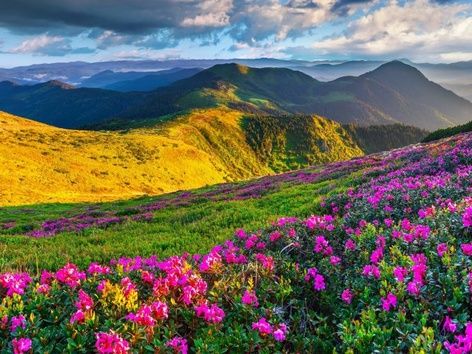 Spring trip 2023: top tours in Ukraine