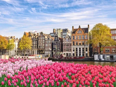 Cancellation of benefits for Ukrainian students in the Netherlands: what is known